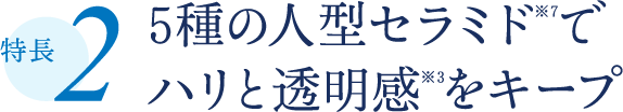 特長2 5種の人型セラミド※7でハリと透明感※3をキープ