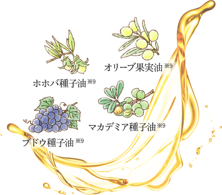 オリーブ果実油※9 ホホバ種子油※9 マカデミア種子油※9 ブドウ種子油※9