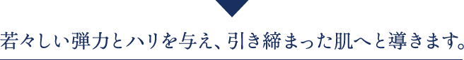 若々しい弾力とハリを与え、引き締まった肌へと導きます。
