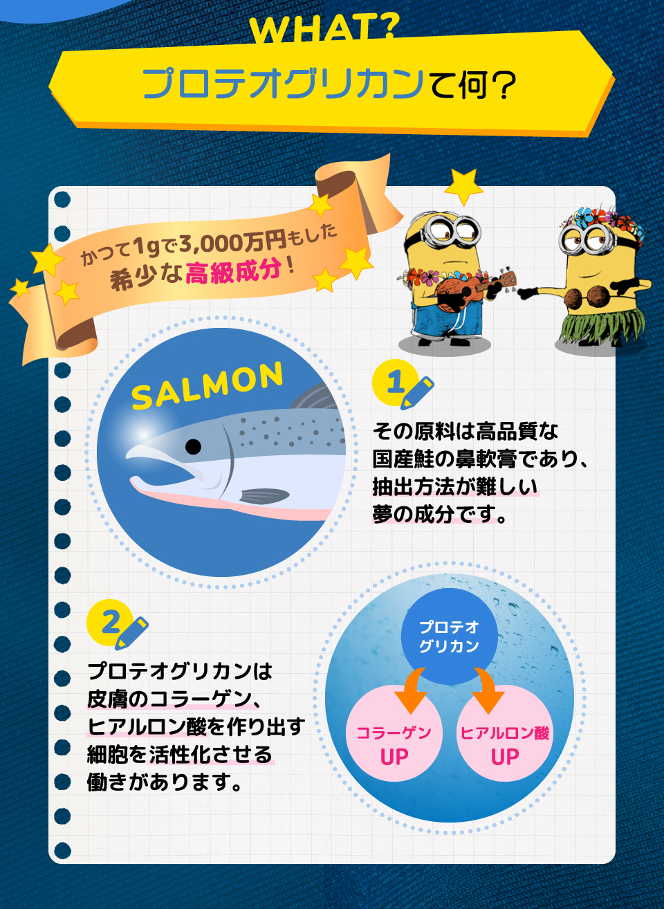 プロテオグリカンって何?