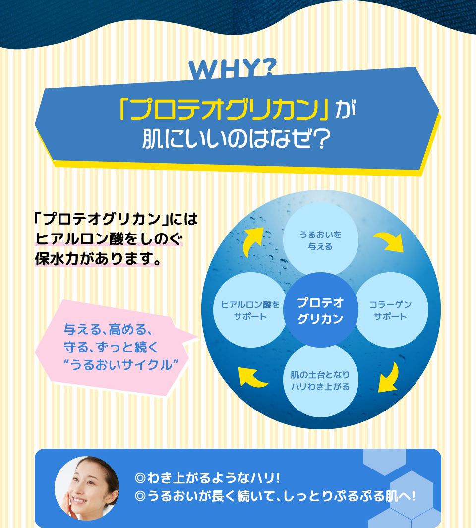 プロテオグリカンが肌にいいのはなぜ?