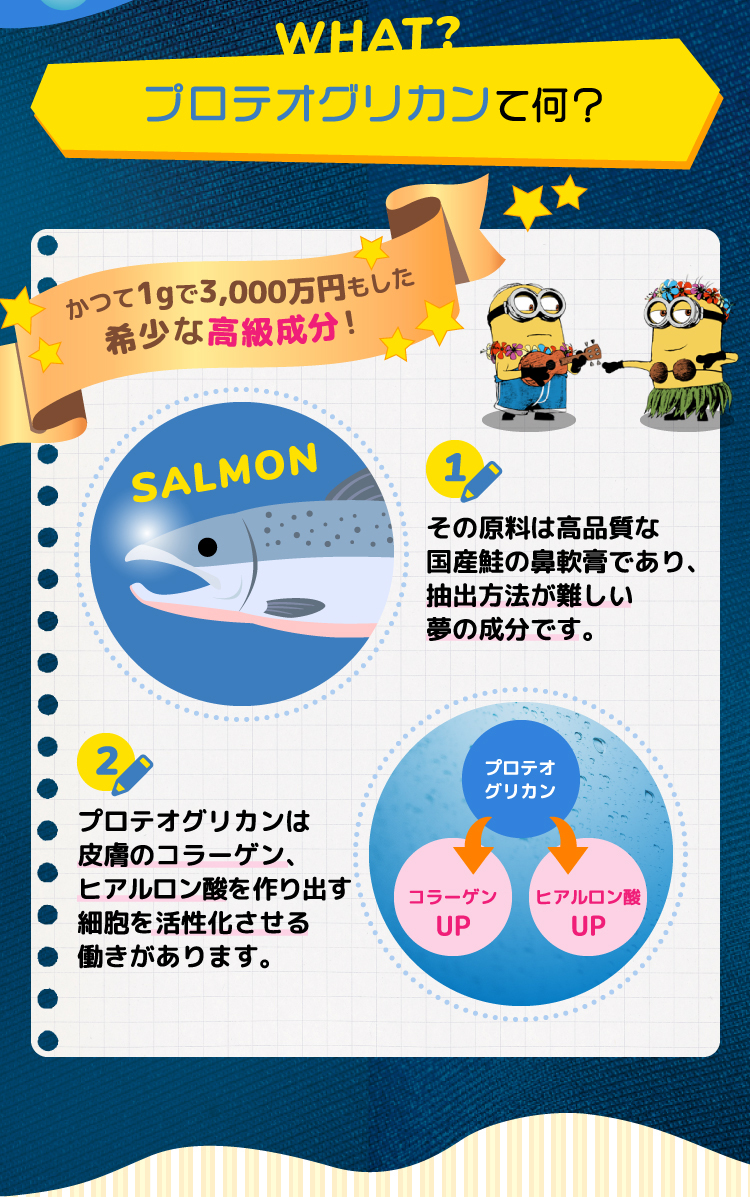 プロテオグリカンって何?