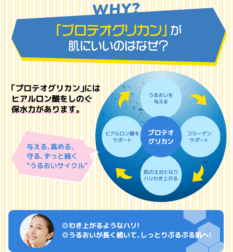 プロテオグリカンが肌にいいのはなぜ?