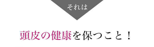 それは 頭皮の健康を保つこと!