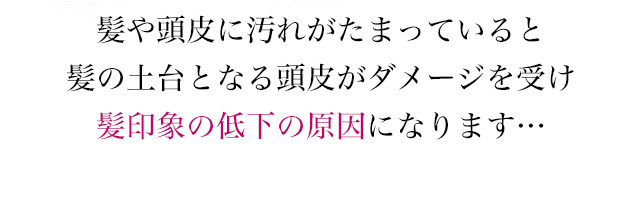 髪や頭皮に汚れがたまっていると髪の土台となる頭皮がダメージを受け髪印象の低下の原因になります…