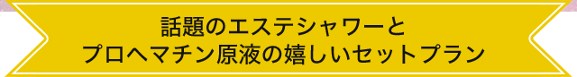 話題のエステシャワーとプロヘマチン原液の嬉しいセットプラン