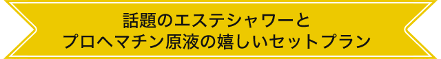 話題のエステシャワーとプロヘマチン原液の嬉しいセットプラン