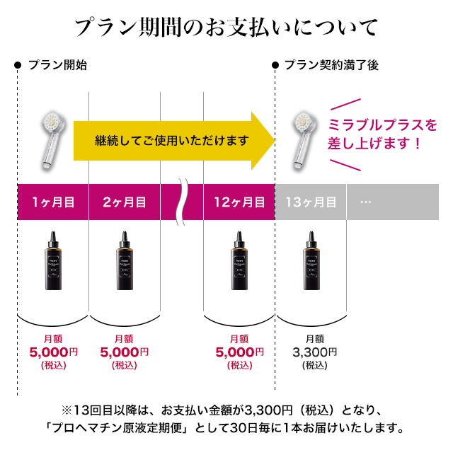 プラン期間のお支払いについて