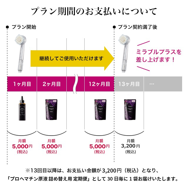 プラン期間のお支払いについて